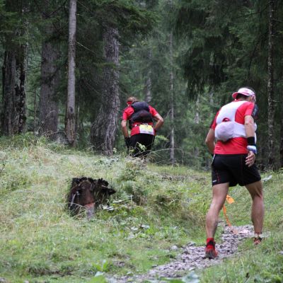 In allen möglichen Sprachen ;-)