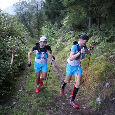 Hinein in den Wald, auf einen steilen Steig.