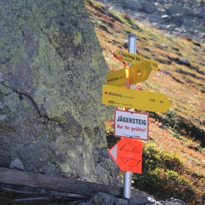 Jochen verlässt den TAR-Trail und läuft zurück zur Gletscherstube.