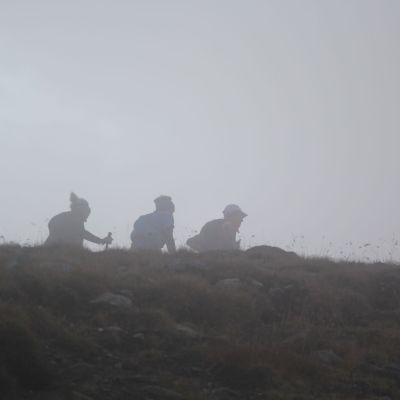 Drei Gestalten im Nebel.