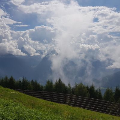 Unsere Läufer genießen die Aussicht.