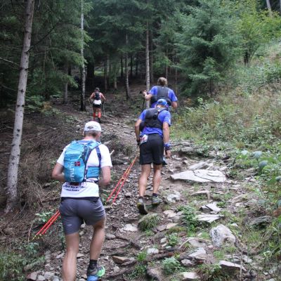 Weiter geht es in Richtung Tallner Alm unterhalb des Hirzers.