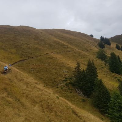 Unsere Gipfelstürmer auf dem Weg zur Tallner Alm.