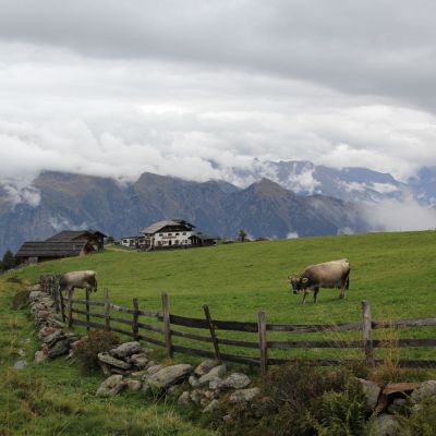 Die Hirzerhütte.