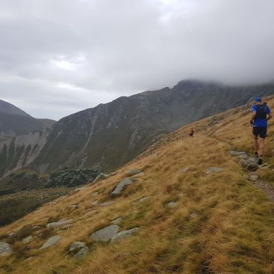 Heute extrem hoher Trail-Anteil.