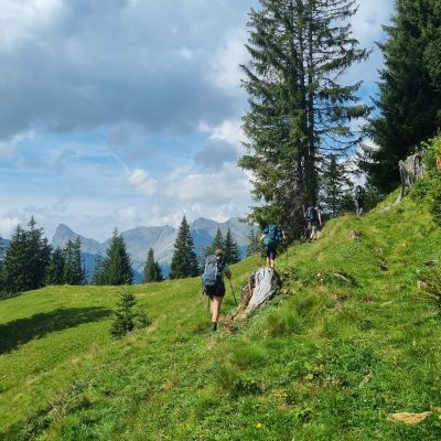 Der erste Aufstieg geht &uuml;ber weite Wiesen.