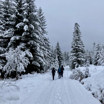 Start der Tour auf verschneiten Fahrwegen.