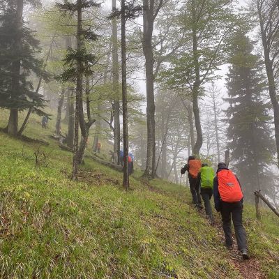 Auf den ersten 4 km mussten fast 1.000 Höhenmeter bewältigt werden.