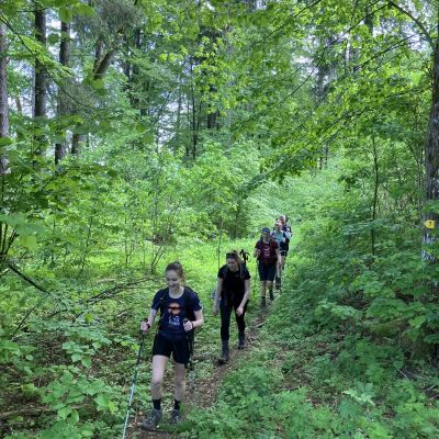Immer wieder sehr sch&ouml;ne Wald-Trails.