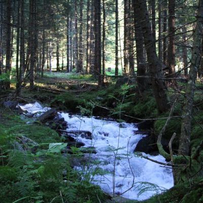 Morgens im Schalderer Tal. Warten auf Stefan. Nach den Regenfällen der letzten Tage fließt im Schalderer Bach viel Wasser.