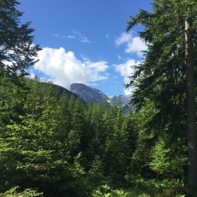 Markus und Jochen eilen derweil von Ehrwald​ zu Fuß auf die Gamsalm Ehrwald​, um an V2 die Läufer in Empfang zu nehmen.