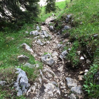 Umwegsames Gelände für unseren Biker. Auf dem Weg zur Hämmermoosalm​ (V4). Jochen fährt währenddessen 1,5 Stunden über das Inntal nach Leutasch​.
