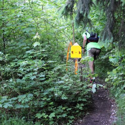 Und dann verschwindet er wieder im Wald.