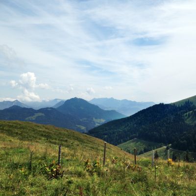 Kurz vor der Ankunft bei Alois auf der BaumoosAlm​. Blick in Richtung Nord-Osten.