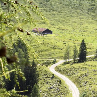 Hurra, da ist sie! Ein erster Blick auf die BaumoosAlm​.