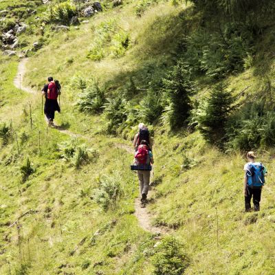 Kurz vor der Ankunft bei Alois auf der BaumoosAlm​.