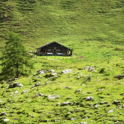 Ein Traum! In einem herrlichen Wiesenkessel liegt die BaumoosAlm​.