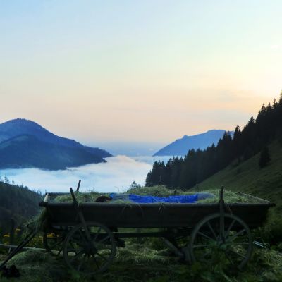 Als Nachtlager NICHT zu toppen. Jenni schläft im Heuwagen auf der Baumoosalm.