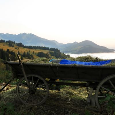 Als Nachtlager NICHT zu toppen. Jenni schläft im Heuwagen auf der Baumoosalm.