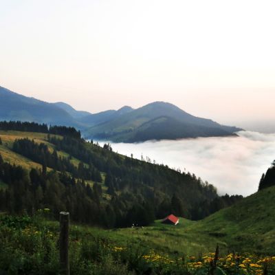 Über den Wolken. Blick von der BaumoosAlm​ in Richtung Norden.