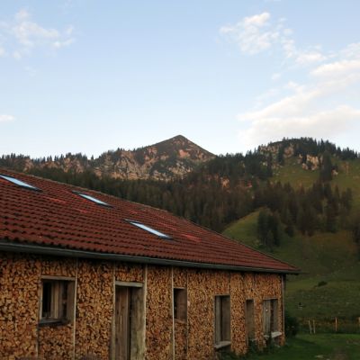Morgenstimmung auf der BaumoosAlm​.