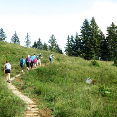 Auf dem Weg von der BaumoosAlm​  nach Grafenherberg.