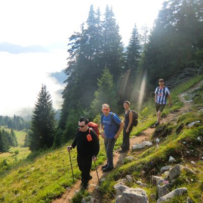 Auf dem Weg von der BaumoosAlm​ nach Grafenherberg.
