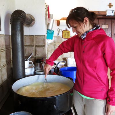 Alm-Besuch zum Käsen in Grafenherberg.