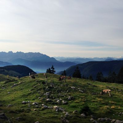 Auf dem Weg vom Brünnsteingipfel über die Himmelmoosalm zur BaumoosAlm​.