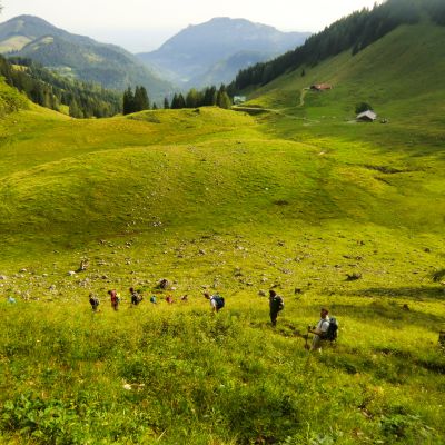 Auf dem Weg vom Brünnsteingipfel über die Himmelmoosalm zur BaumoosAlm​.