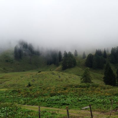 Zum Abschied ein heftiges Gewitter auf der BaumoosAlm​.