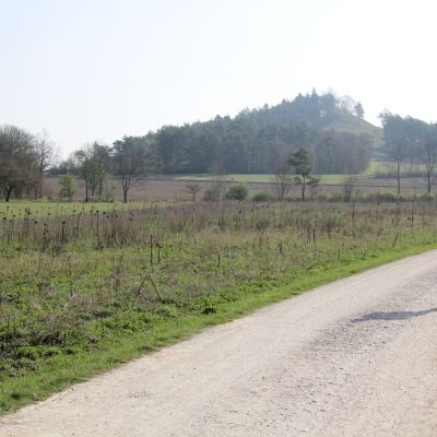 Nur noch wenige Meter bis zum Wendepunkt am Staffelberg.