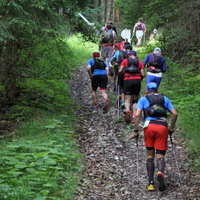 Und zieht davon in Richtung Gamsalm Ehrwald​.