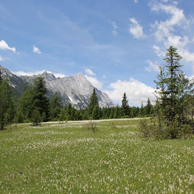 Jochen wartet währenddessen nach der Anreise über das Inntal an der Hämmermoosalm​