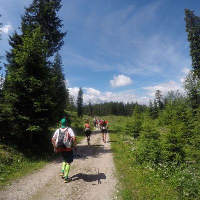 Währenddessen macht sich Peter auf den Weg zur Partnachalm​.