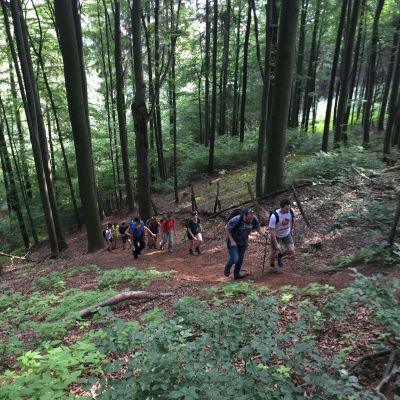 Steiler Anstieg im schattigen Wald ...