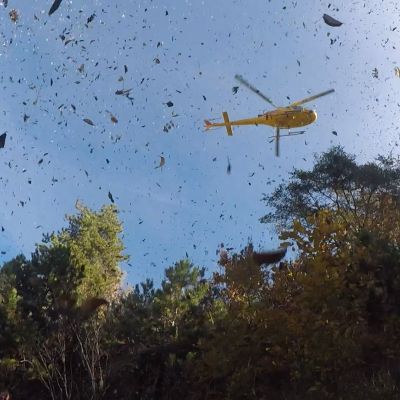 Ein Hubschrauber wirbelt das Laub auf.