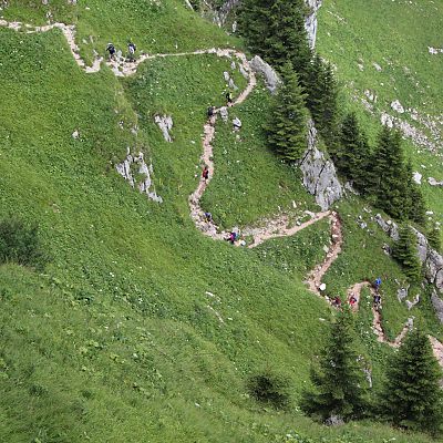 Auf Serpentinen hinauf in Richtung Aggenstein. Ein Gipfelstürmer nach dem anderen erreicht den Grenzstein.