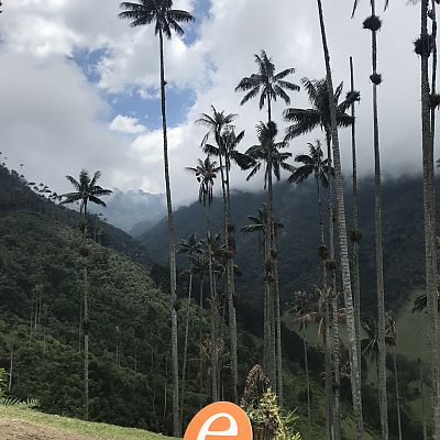 März 2018, Kolumbien: Neuland für unser "e"! Das "e" bereiste mit Nicole das Valle del Cocora in Kolumbien. Zu bestaunen gab es dort die bis zu 60 m hohen Wachspalmen, Kolumbiens Nationalbaum.