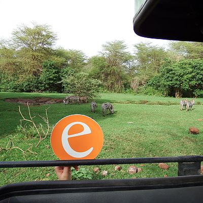 März 2018, Tansania: Unser Michael mit dem "e" auf Safari im Serengeti-Nationalpark.
